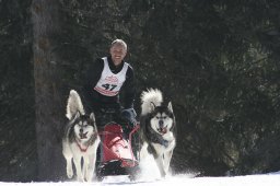San Bernardino 2008